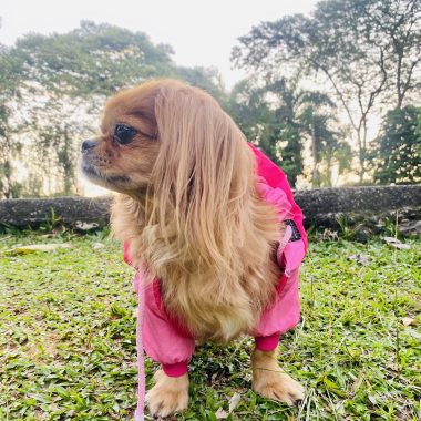 CHAQUETA IMPERMEABLE TALLA XS.