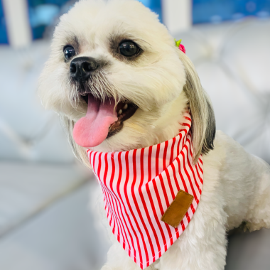 PAÑOLETA PERSONALIZADA RAYAS ROJO-BLANCO.