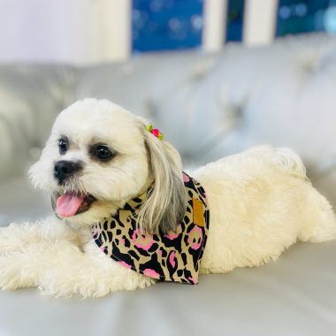 PAÑOLETA PERSONALIZADA LEOPARDO.