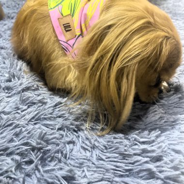 PAÑOLETA PERSONALIZADA ROSA-OTOÑO.