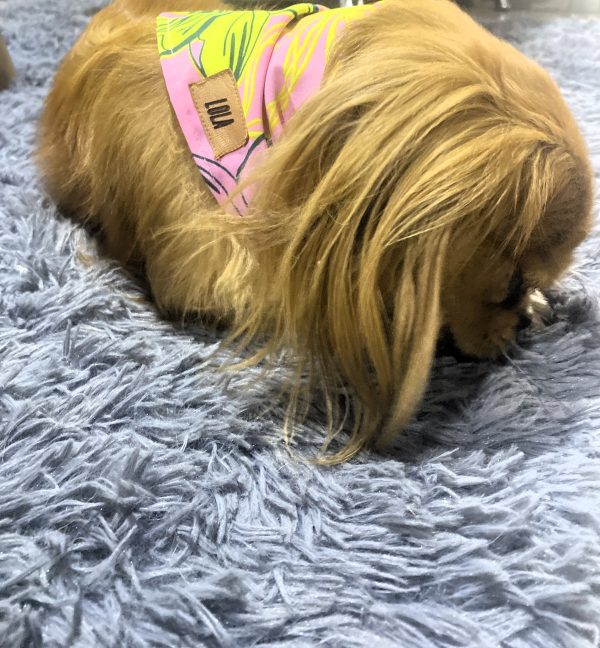 PAÑOLETA PERSONALIZADA ROSA-OTOÑO.